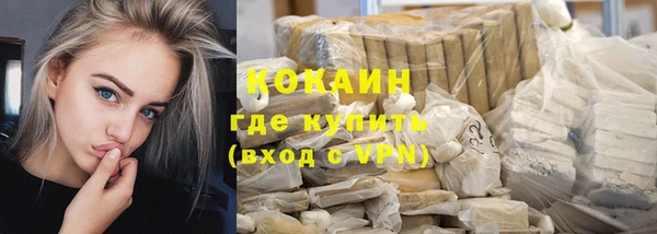 твердый Надым