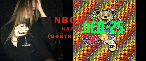 твердый Надым
