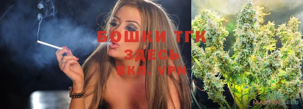 твердый Надым