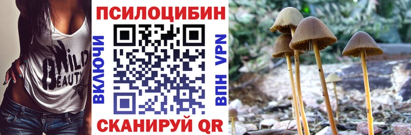 Галлюциногенные грибы Cubensis  Купить где  Купино 